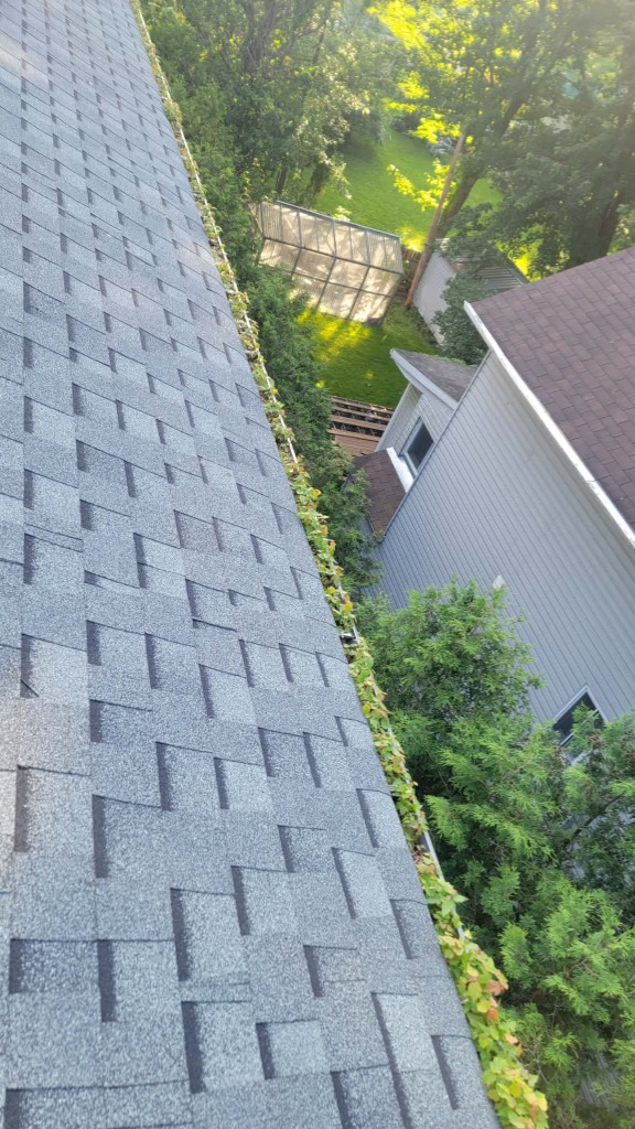 Avant - Gouttière bouchée